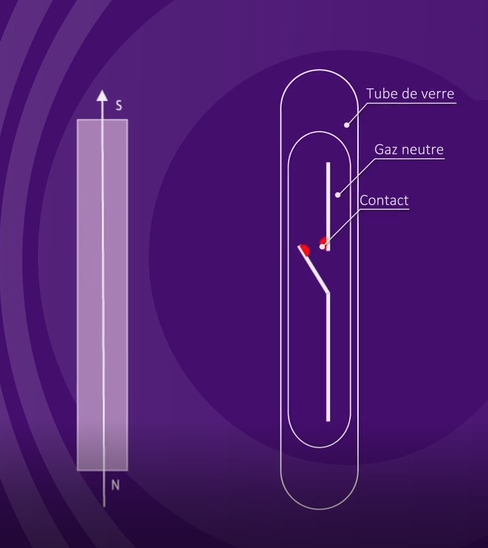 Ampoule REED composant