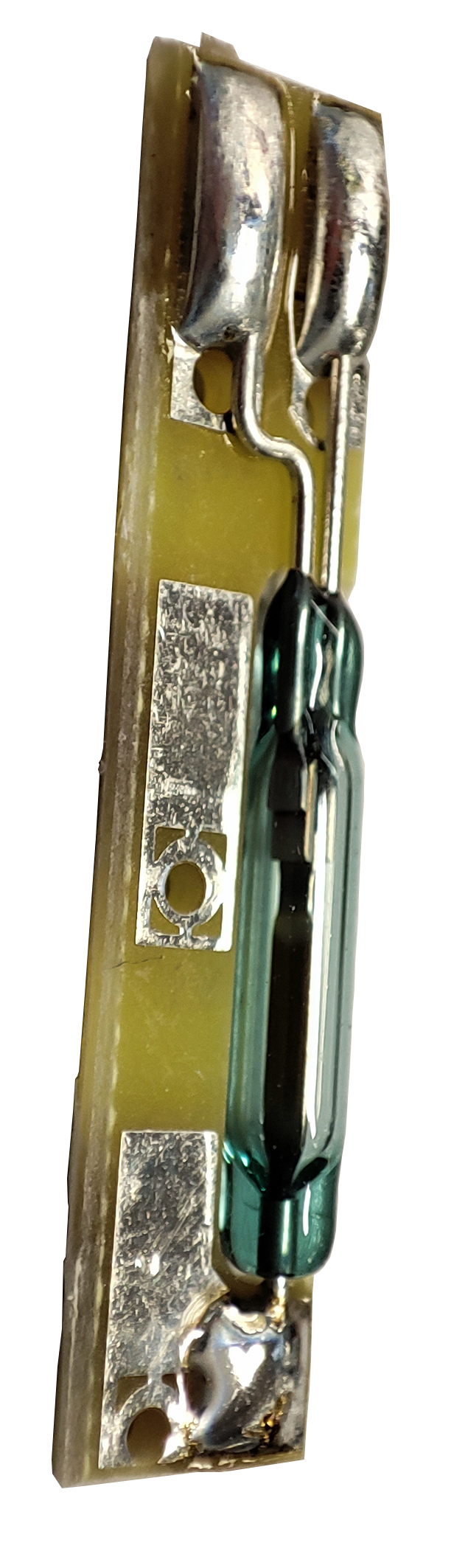 ampoule Reed macro
